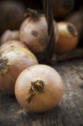 Close up of  Onions in a basket — Stock Photo