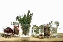 Assorted herbs and spices for preserving over wooden surface — Stock Photo