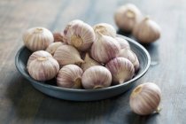 Fesh Garlic Bulbs — Stock Photo