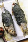 Trout wrapped in vine leaves — Stock Photo