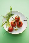Буффало моцарелла с помидорами — стоковое фото