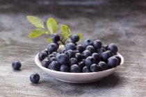 Fresh Blueberries in Bowl — Stock Photo