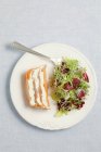 Salmone affumicato e crema di formaggio terrina — Foto stock