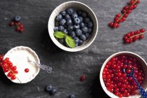 Blueberries and redcurrants in bowls — Stock Photo