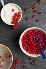 Cuencos de grosellas rojas y yogur - foto de stock