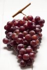 Ramo de uvas rojas frescas - foto de stock