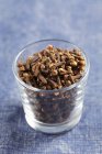 Vidro de sementes de cravo — Fotografia de Stock