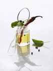 Olio, erbe aromatiche, peperoncino e grani di pepe su sfondo bianco — Foto stock