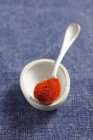 Sweet paprika on spoon — Stock Photo
