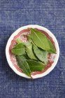 Fresh bay leaves in plate — Stock Photo