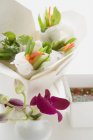 Rotoli di carta di riso con verdure — Foto stock