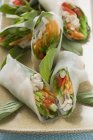 Rice paper rolls filled with chicken — Stock Photo