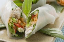 Rice paper rolls filled with chicken — Stock Photo