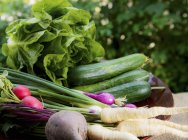 Свежие овощи и салат в корзине на садовом столе — стоковое фото