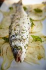 Pesce basso al forno con prezzemolo e limone — Foto stock