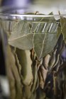 Крупный план сушеных лавровых листьев в пластиковой чашке — стоковое фото