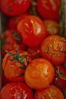 Montón de tomates rojos asados - foto de stock