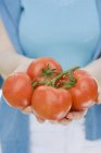 Femme tenant des tomates fraîches — Photo de stock