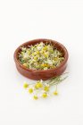 Closeup view of dried Camomile flowers in a terracotta dish — Stock Photo