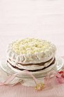 Chocolate layer cake with meringue — Stock Photo