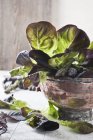 Frische Salatblätter über Holzoberfläche — Stockfoto