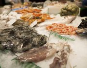 Асорті свіжі морепродукти — стокове фото
