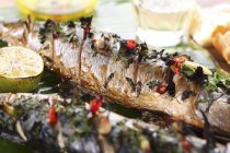 Grilled mackerel with herbs — Stock Photo