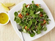 Pea shoot salad with tomatoes and onions on white plate with fork — Stock Photo