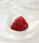 Сырая малина в йогурте — стоковое фото