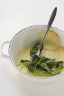 Chou-rave braisé dans une casserole avec fourchette sur fond blanc — Photo de stock