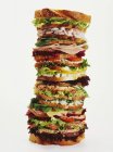 Stack of different sandwiches — Stock Photo