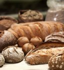 Frisch gebackenes Brot und Brötchen — Stockfoto