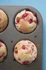 Muffins de grosella roja en estaño para hornear - foto de stock