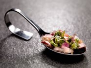Chimichurrion  tasting spoon — Stock Photo