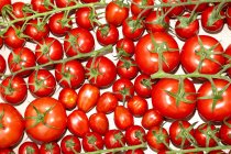 Varios tomates de vid - foto de stock