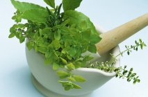 Freshly picked culinary herbs — Stock Photo