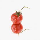 Tomate avec gouttes d'eau — Photo de stock