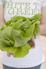 Woman holding lettuce — Stock Photo