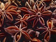 Close up of Star anise — Stock Photo