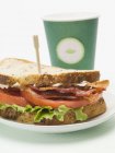 Salat und Tomaten-Sandwich — Stockfoto