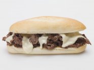 Shredded beef sandwich — Stock Photo
