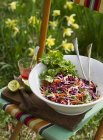 Овощной салат с красной капустой и корнеплодами на открытом воздухе на садовом стуле — стоковое фото