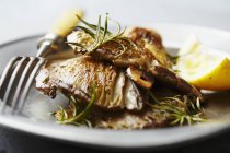 Funghi di ostrica fritti con rosmarino e aglio su piatto bianco con forchetta — Foto stock