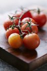 Fresh Tomatoes on vine — Stock Photo
