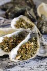 Grilled oysters with herb crust — Stock Photo
