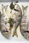 Roasted sea bream with parsley — Stock Photo