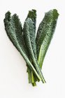 Fresh Black kale leaves — Stock Photo