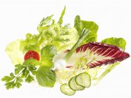Divers ingrédients de salade sur fond blanc — Photo de stock