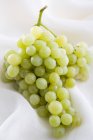 Fresh green grapes — Stock Photo
