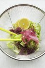 Вид крупным планом на салат из смешанных листьев с красными водорослями и ломтиками юзу — стоковое фото